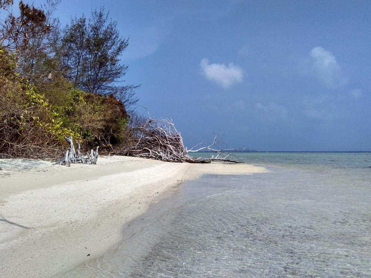 Asari Timo Cottage Karimunjawa Exterior foto